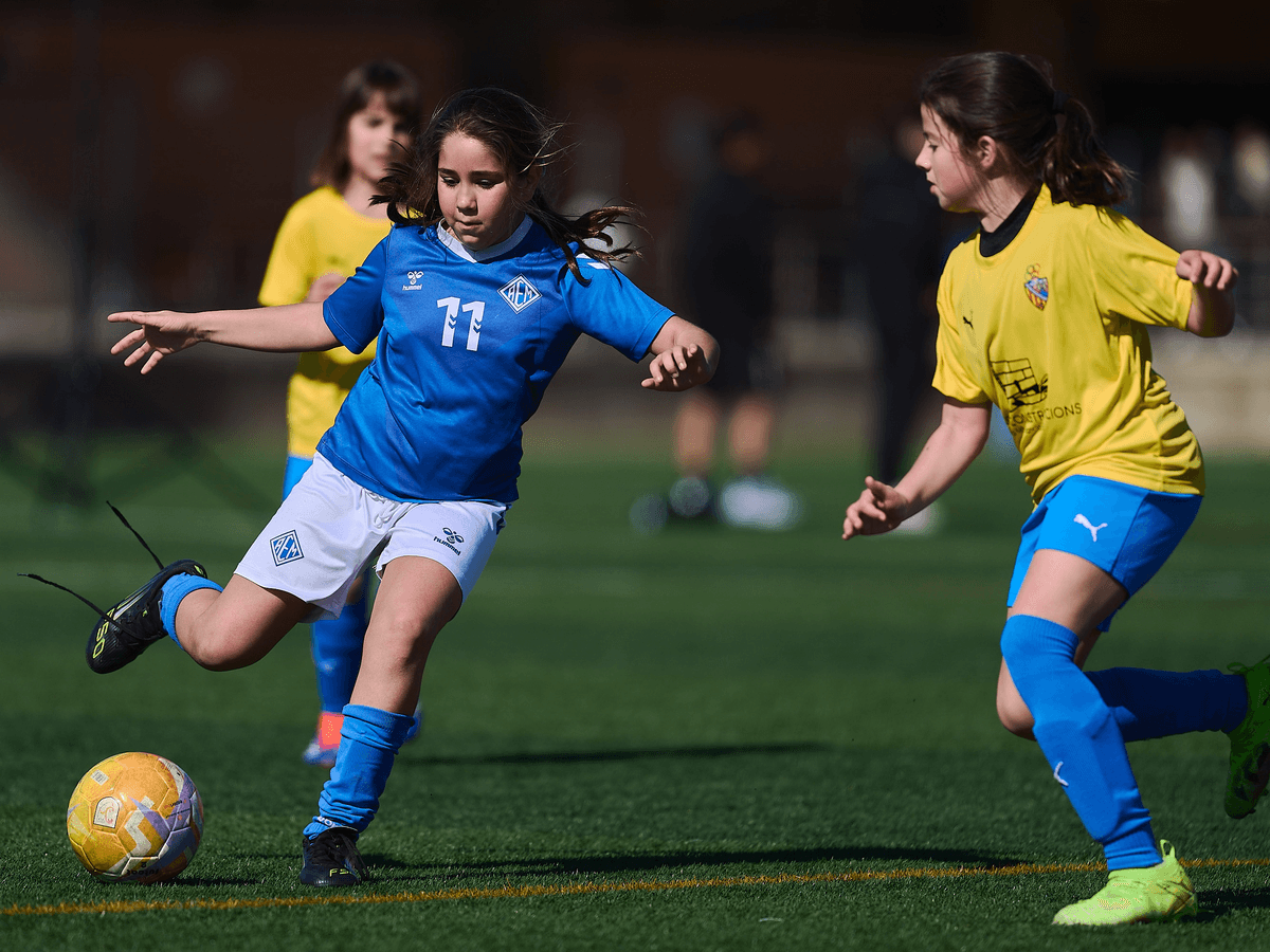 Actualitzades les agrupacions de la Segona Divisió Aleví Femení i del Femení Benjamí